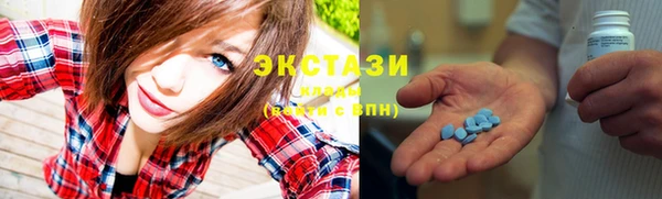 ECSTASY Алзамай