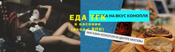 ECSTASY Алзамай