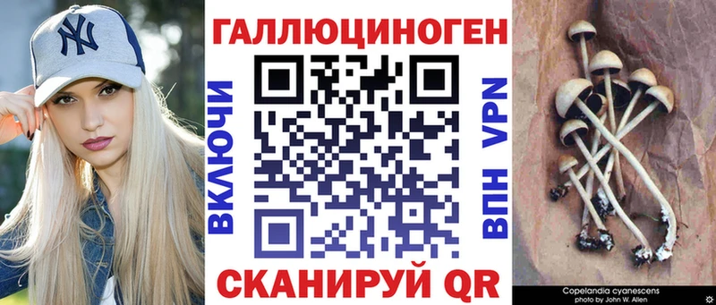 mega как войти  Раменское  Псилоцибиновые грибы ЛСД 